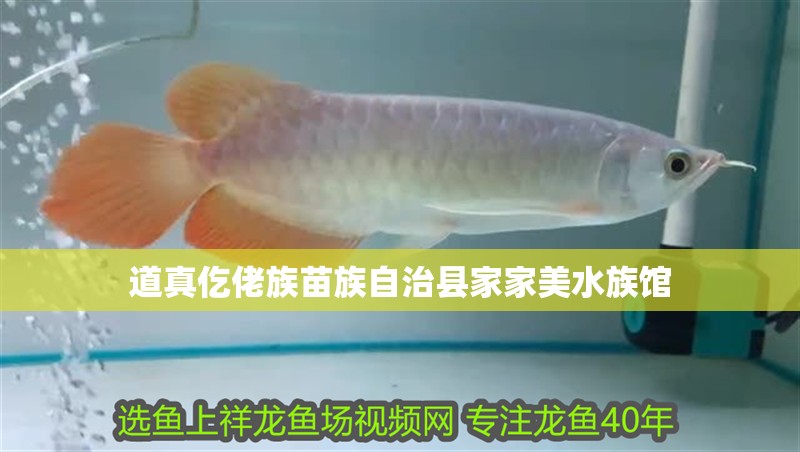 道真仡佬族苗族自治縣家家美水族館 道真仡佬族苗族自治縣家家美水族館 全國水族館企業名錄 第2張