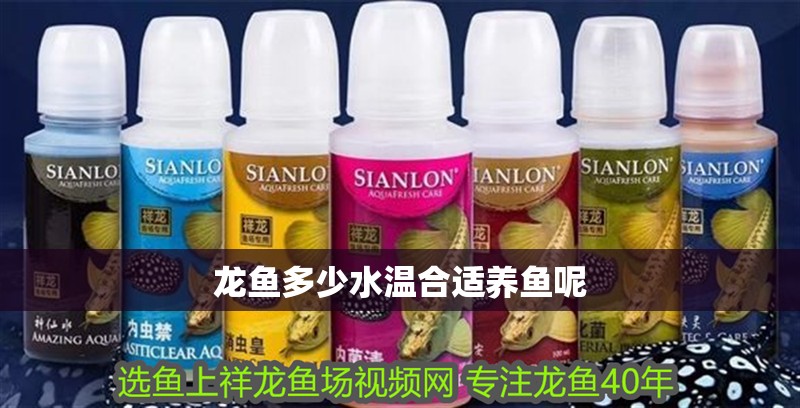 龍魚多少水溫合適養魚呢