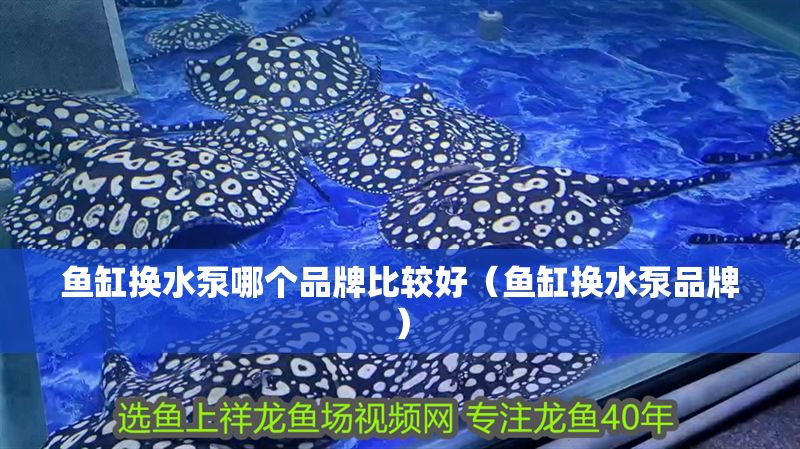 魚缸換水泵哪個品牌比較好（魚缸換水泵品牌）