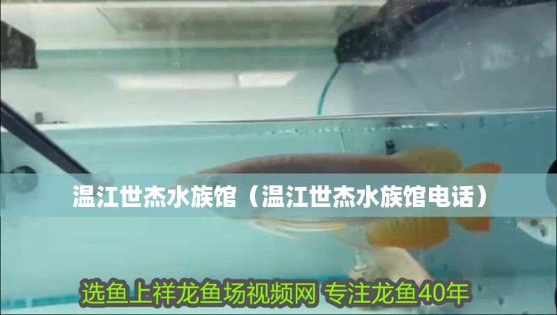 溫江世杰水族館（溫江世杰水族館電話）