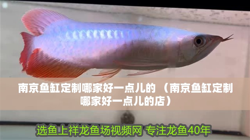 南京魚缸定制哪家好一點兒的 （南京魚缸定制哪家好一點兒的店）