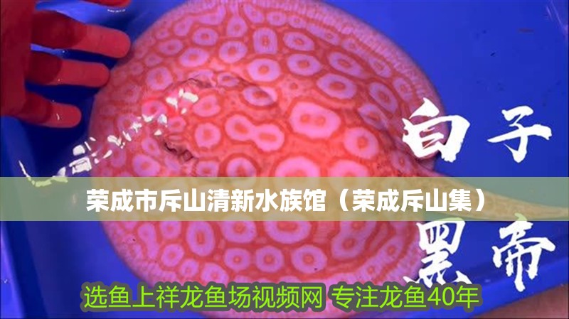 榮成市斥山清新水族館（榮成斥山集）