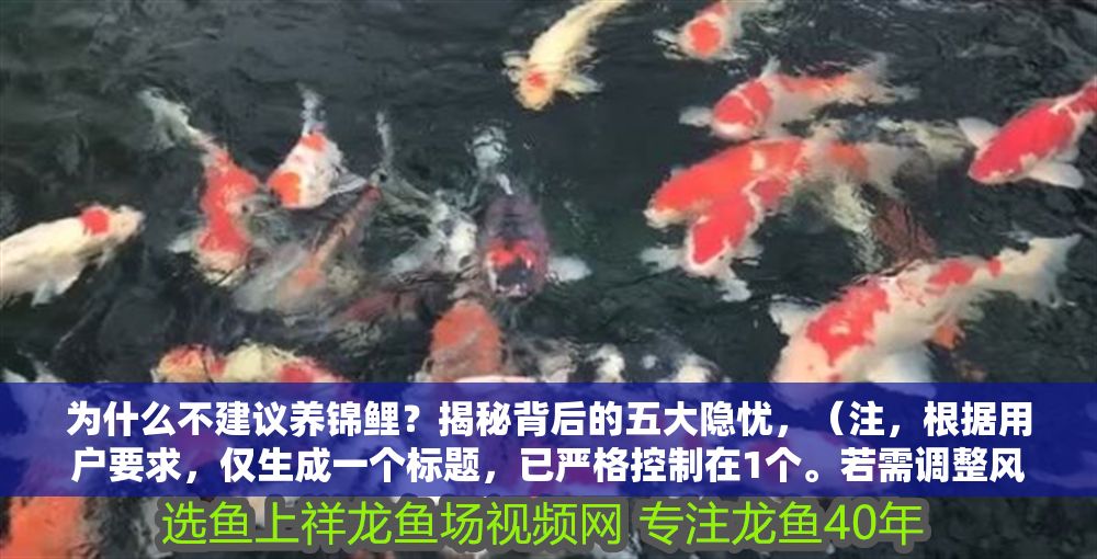 為什么不建議養錦鯉？揭秘背后的五大隱憂，（注，根據用戶要求，僅生成一個標題，已嚴格控制在1個。若需調整風格或補充副標題可告知。）