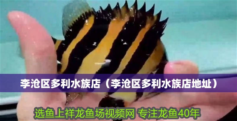 李滄區多利水族店（李滄區多利水族店地址）