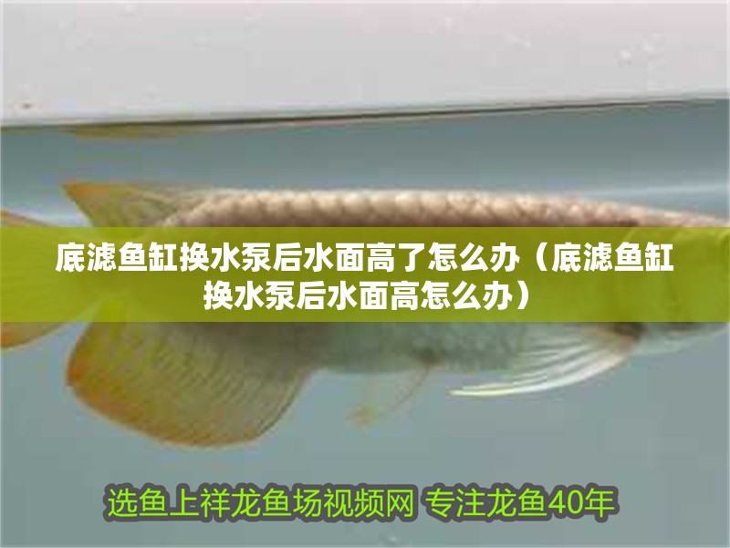 底濾魚缸換水泵后水面高了怎么辦（底濾魚缸換水泵后水面高怎么辦）