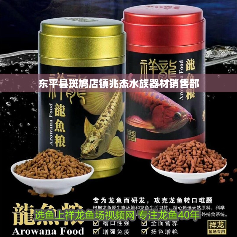 東平縣斑鳩店鎮(zhèn)兆杰水族器材銷售部 東平縣斑鳩店鎮(zhèn)兆杰水族器材銷售部 全國(guó)水族館企業(yè)名錄 第2張