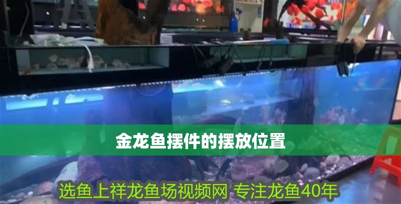 金龍魚擺件的擺放位置