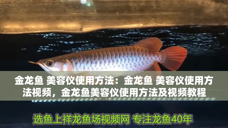 金龍魚 美容儀使用方法：金龍魚 美容儀使用方法視頻，金龍魚美容儀使用方法及視頻教程