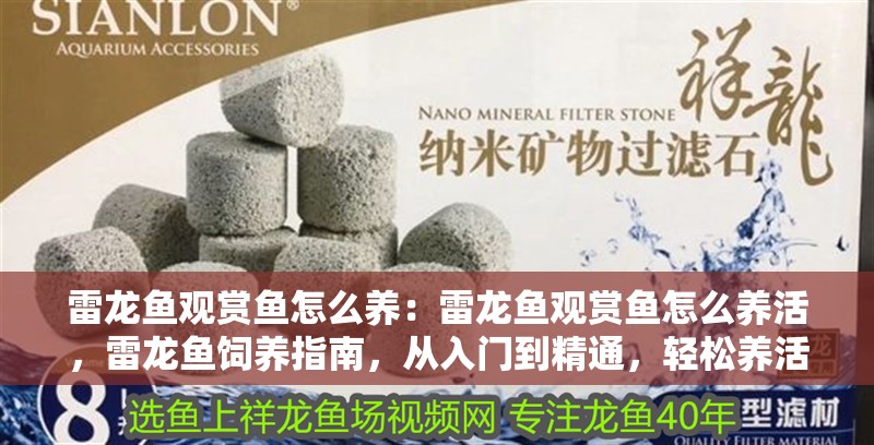 雷龍魚觀賞魚怎么養(yǎng)：雷龍魚觀賞魚怎么養(yǎng)活，雷龍魚飼養(yǎng)指南，從入門到精通，輕松養(yǎng)活觀賞 雷龍魚觀賞魚怎么養(yǎng)：雷龍魚觀賞魚怎么養(yǎng)活，雷龍魚飼養(yǎng)指南，從入門到精通，輕松養(yǎng)活觀賞 水族問答