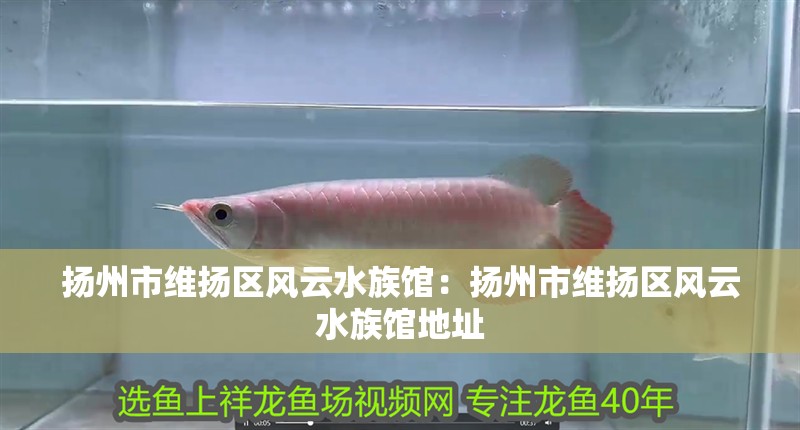 揚州市維揚區風云水族館：揚州市維揚區風云水族館地址 揚州市維揚區風云水族館：揚州市維揚區風云水族館地址 全國水族館企業名錄 第2張