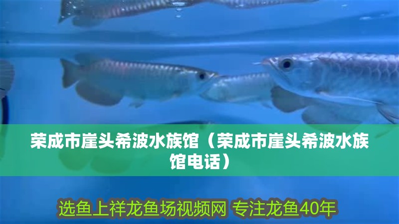 榮成市崖頭希波水族館（榮成市崖頭希波水族館電話）
