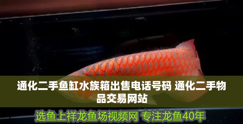<strong><mark>通化</mark></strong>二手魚缸水族箱出售電話號碼 <strong><mark>通化</mark></strong>二手物品交易網站