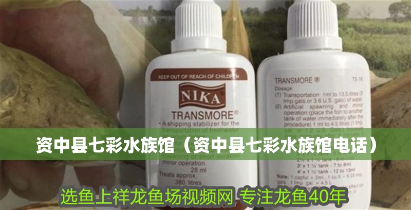 資中縣七彩水族館（資中縣七彩水族館電話） 資中縣七彩水族館（資中縣七彩水族館電話） 全國(guó)水族館企業(yè)名錄 第2張