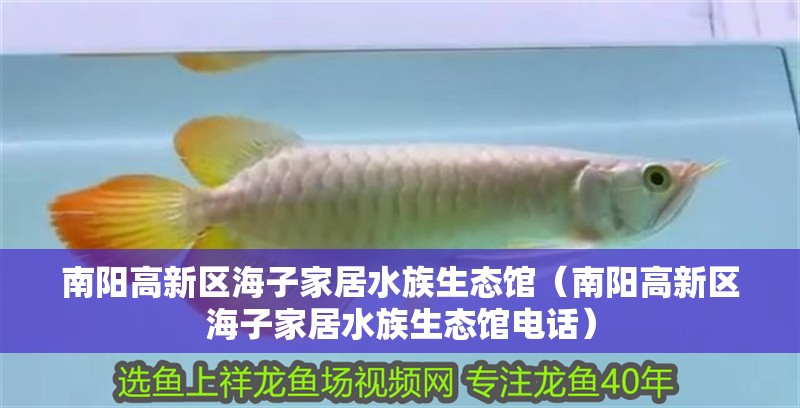 南陽高新區(qū)海子家居水族生態(tài)館（南陽高新區(qū)海子家居水族生態(tài)館電話）