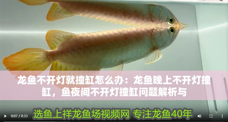 龍魚不開燈就撞缸怎么辦：龍魚晚上不開燈撞缸，魚夜間不開燈撞缸問題解析與