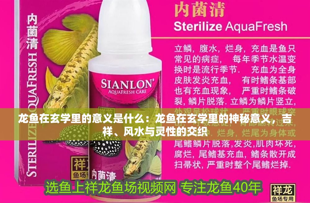 龍魚在玄學里的意義是什么：龍魚在玄學里的神秘意義，吉祥、風水與靈性的交織