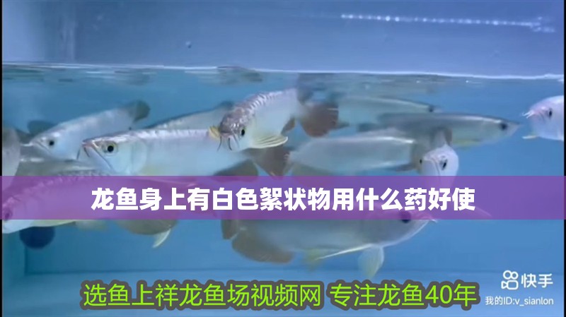 龍魚身上有白色絮狀物用什么藥好使