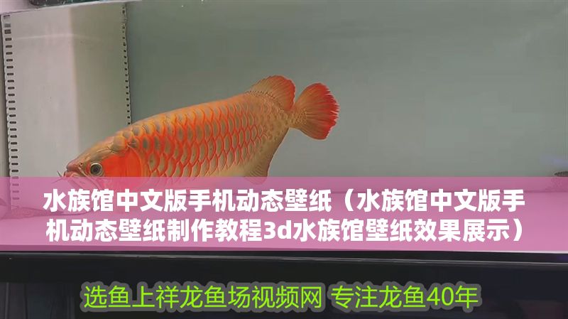 水族館中文版手機動態(tài)壁紙（水族館中文版手機動態(tài)壁紙制作教程3d水族館壁紙效果展示） 水族館中文版手機動態(tài)壁紙（水族館中文版手機動態(tài)壁紙制作教程3d水族館壁紙效果展示） 水族館百科（水族館加盟） 第1張