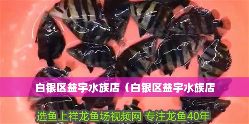白銀區益宇水族店(白銀區益宇水族店 全國水族館企業名錄 第2張 白銀區益宇水族店(白銀區益宇水族店 白銀區益宇水族店(白銀區益宇水族店 全國水族館企業名錄 第2張