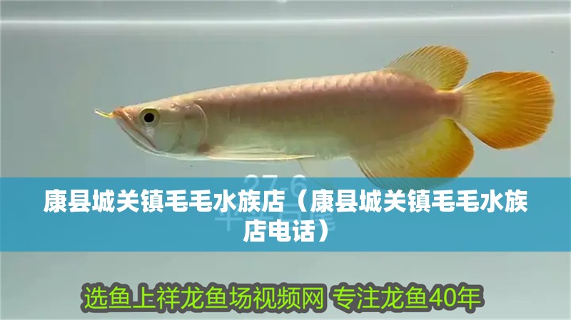 康縣城關(guān)鎮(zhèn)毛毛水族店（康縣城關(guān)鎮(zhèn)毛毛水族店電話）