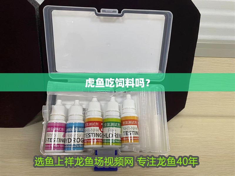 虎魚吃飼料嗎？ 虎魚吃飼料嗎？ 虎魚百科