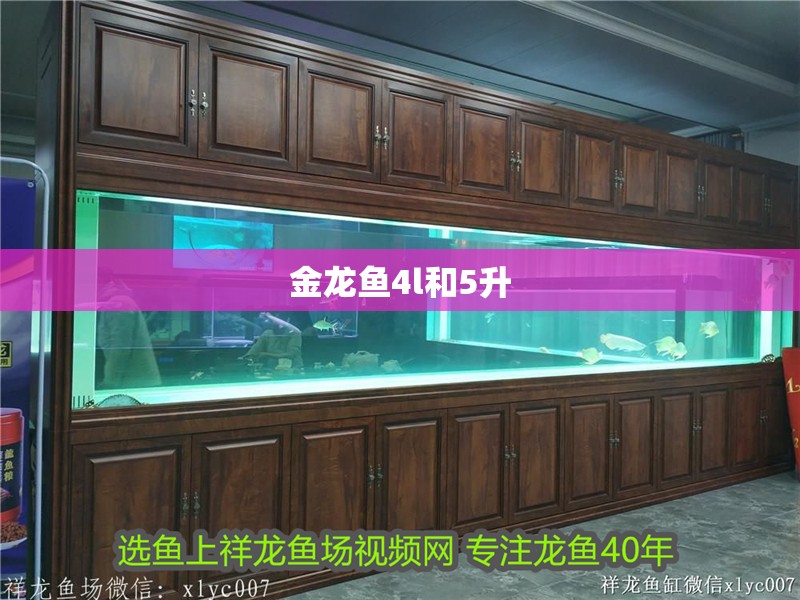 金龍魚4l和5升