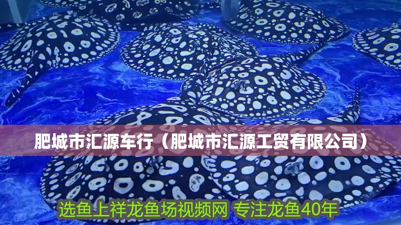 肥城市匯源車行(肥城市匯源工貿有限公司) 全國水族館企業名錄 第2張 肥城市匯源車行(肥城市匯源工貿有限公司) 肥城市匯源車行(肥城市匯源工貿有限公司) 全國水族館企業名錄 第2張