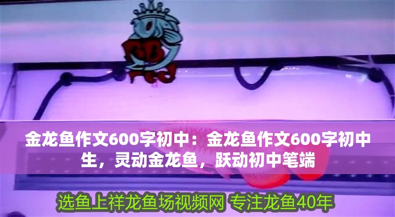 金龍魚作文600字初中：金龍魚作文600字初中生，靈動金龍魚，躍動初中筆端