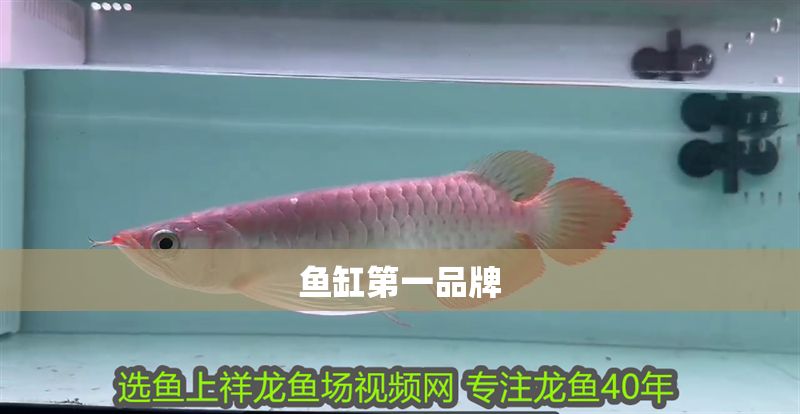 魚缸第一品牌