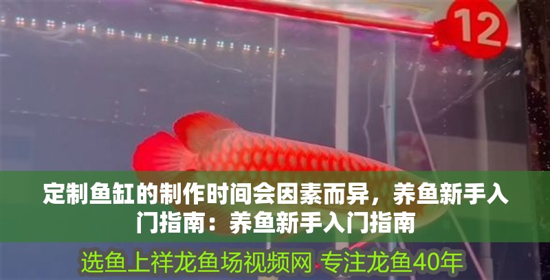 定制魚缸的制作時間會因素而異，養(yǎng)魚新手入門指南：養(yǎng)魚新手入門指南