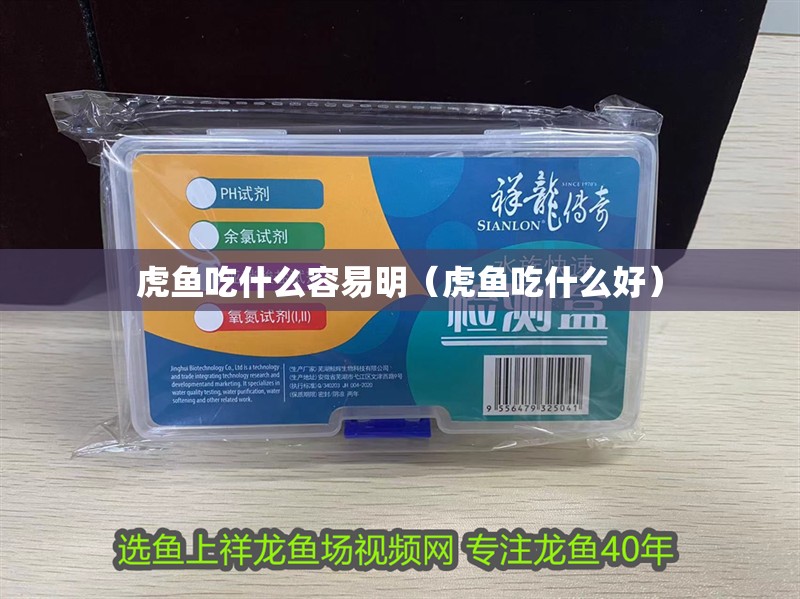 虎魚吃什么容易明（虎魚吃什么好）