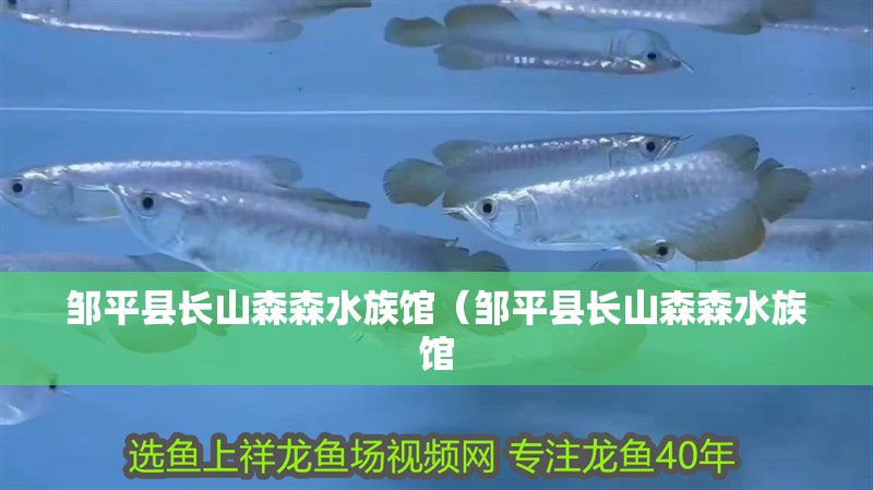 鄒平縣長山森森水族館（鄒平縣長山森森水族館