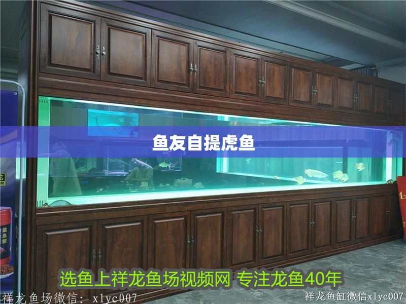 魚友自提虎魚