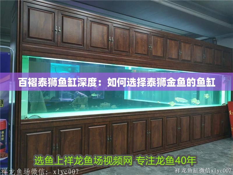 百褶泰獅魚缸深度：如何選擇泰獅金魚的魚缸