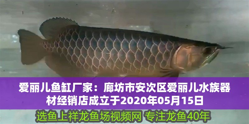 愛麗兒魚缸廠家：廊坊市<strong><mark>安次</mark></strong>區愛麗兒水族器材經銷店成立于2020年05月15日