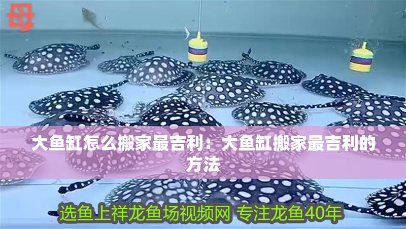大魚缸怎么搬家最吉利：大魚缸搬家最吉利的方法