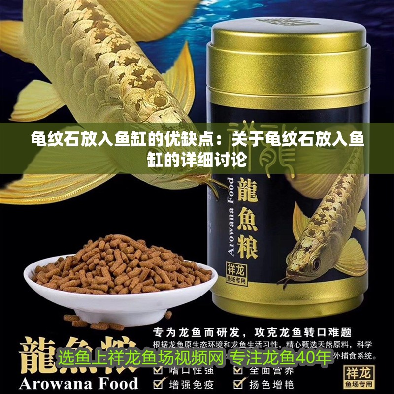 龜紋石放入魚缸的優缺點：關于龜紋石放入魚缸的詳細討論