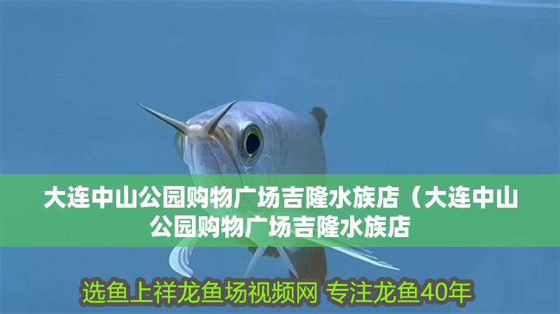 大連中山公園購物廣場吉隆水族店（大連中山公園購物廣場吉隆水族店