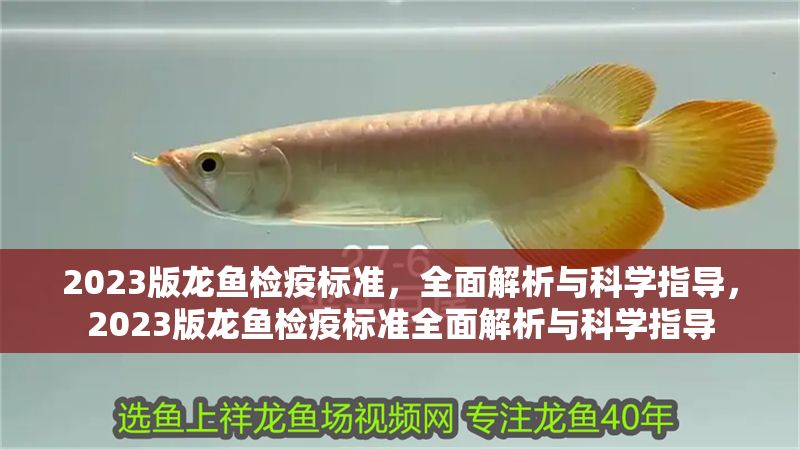 2023版龍魚檢疫標準,全面解析與科學指導,2023版龍魚檢疫標準全面解析與科學指導 龍魚常見疾病 第1張 2023版龍魚檢疫標準,全面解析與科學指導,2023版龍魚檢疫標準全面解析與科學指導 2023版龍魚檢疫標準,全面解析與科學指導,2023版龍魚檢疫標準全面解析與科學指導 龍魚常見疾病 第1張