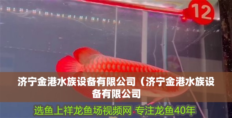 濟寧金港水族設備有限公司（濟寧金港水族設備有限公司