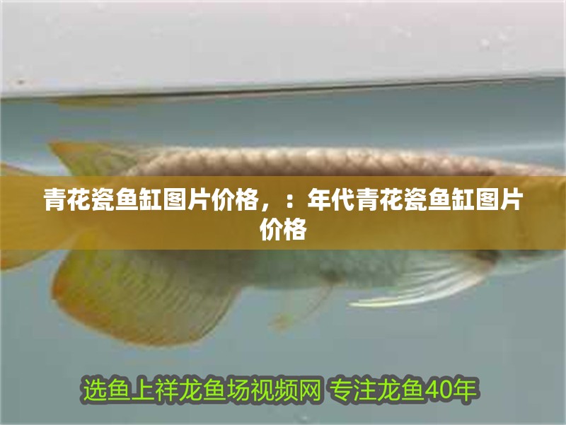 青花瓷魚缸圖片價格，：年代青花瓷魚缸圖片價格