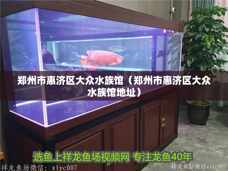 鄭州市惠濟(jì)區(qū)大眾水族館（鄭州市惠濟(jì)區(qū)大眾水族館地址）