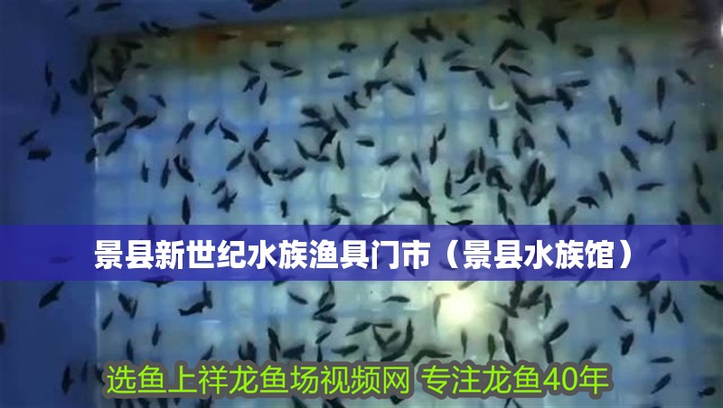 景縣新世紀(jì)水族漁具門(mén)市（景縣水族館）