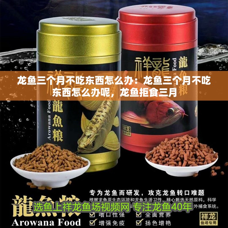 龍魚三個(gè)月不吃東西怎么辦：龍魚三個(gè)月不吃東西怎么辦呢，龍魚拒食三月