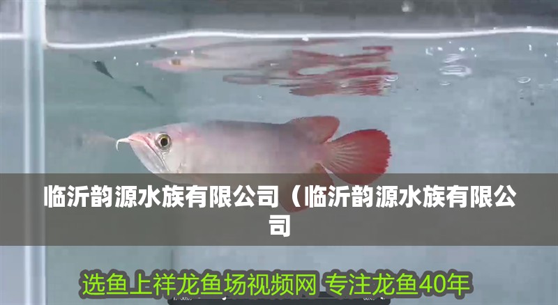臨沂韻源水族有限公司(臨沂韻源水族有限公司 全國水族館企業(yè)名錄 第2張 臨沂韻源水族有限公司(臨沂韻源水族有限公司 臨沂韻源水族有限公司(臨沂韻源水族有限公司 全國水族館企業(yè)名錄 第2張