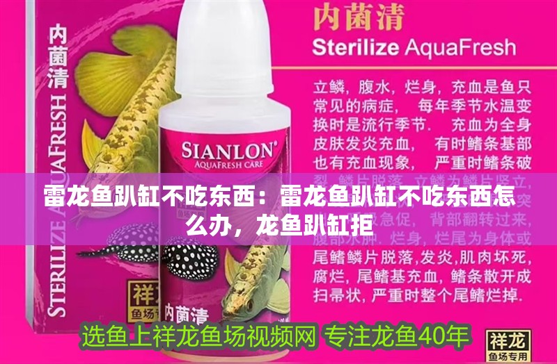 雷龍魚趴缸不吃東西：雷龍魚趴缸不吃東西怎么辦，龍魚趴缸拒