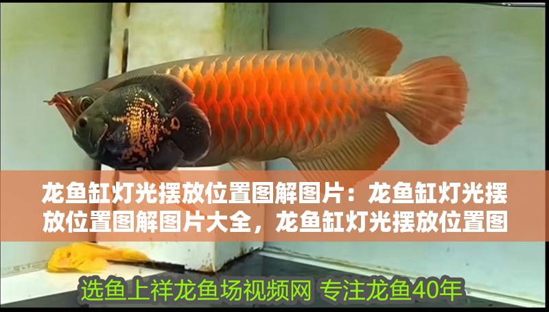 龍魚缸燈光擺放位置圖解圖片：龍魚缸燈光擺放位置圖解圖片大全，龍魚缸燈光擺放位置圖解大全 龍魚缸燈光擺放位置圖解圖片：龍魚缸燈光擺放位置圖解圖片大全，龍魚缸燈光擺放位置圖解大全 水族問答