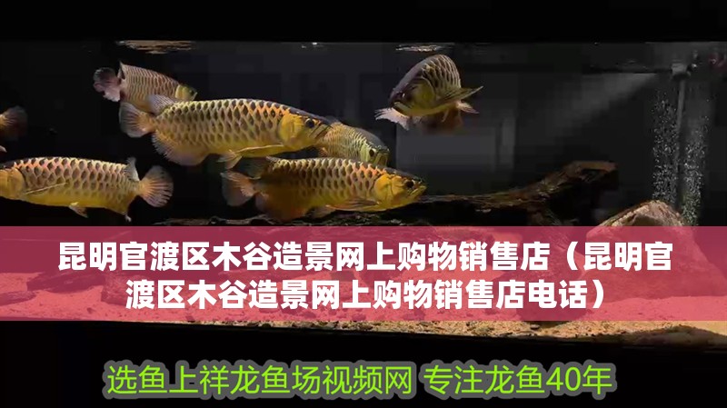 鸚鵡魚和銀龍魚混養怎樣喂食 昆明官渡區木谷造景網上購物銷售店(昆明官渡區木谷造景網上購物銷售店電話) 全國水族館企業名錄 昆明官渡區木谷造景網上購物銷售店(昆明官渡區木谷造景網上購物銷售店電話) 昆明官渡區木谷造景網上購物銷售店(昆明官渡區木谷造景網上購物銷售店電話) 全國水族館企業名錄