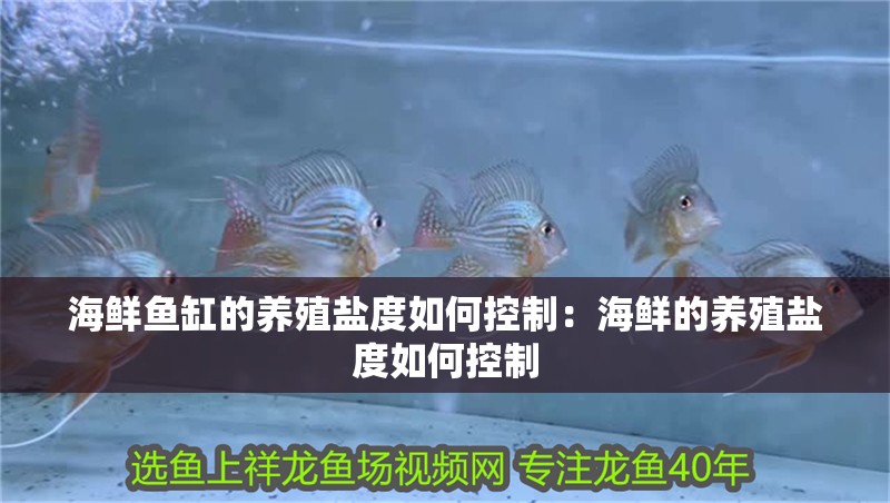 海鮮魚缸的養(yǎng)殖鹽度如何控制：海鮮的養(yǎng)殖鹽度如何控制