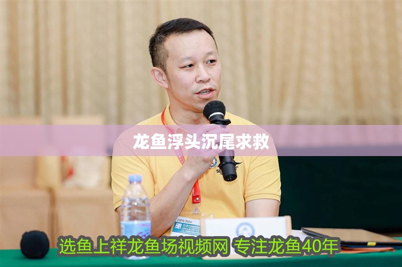 龍魚(yú)浮頭沉尾求救